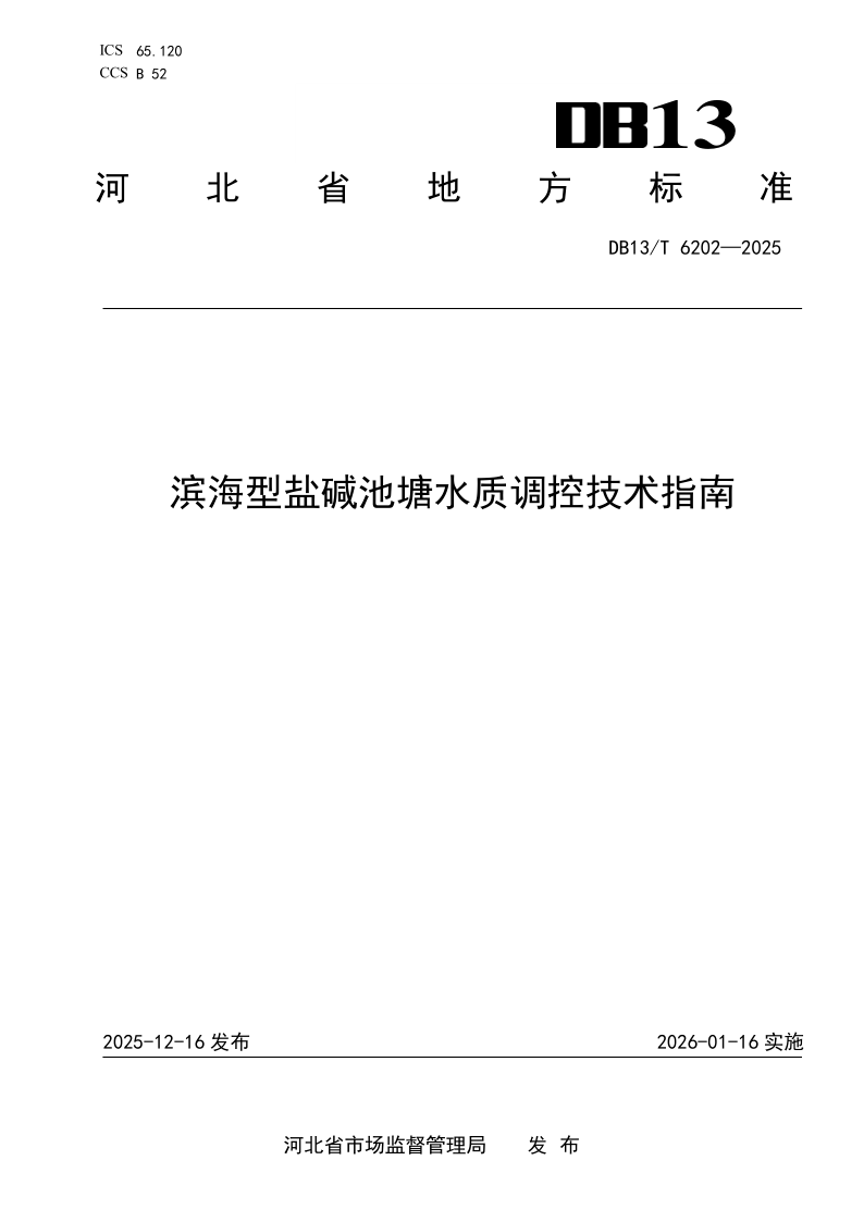 DB13_T 6202-2025.png