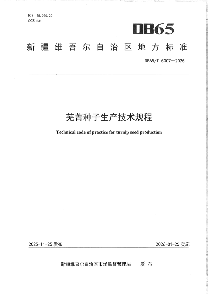 DB65/T 5007-2025 芜菁种子生产技术规程