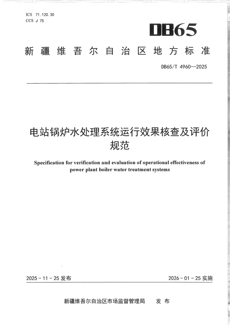 DB65/T 4960-2025 电站锅炉水处理系统运行效果核查及评价规范