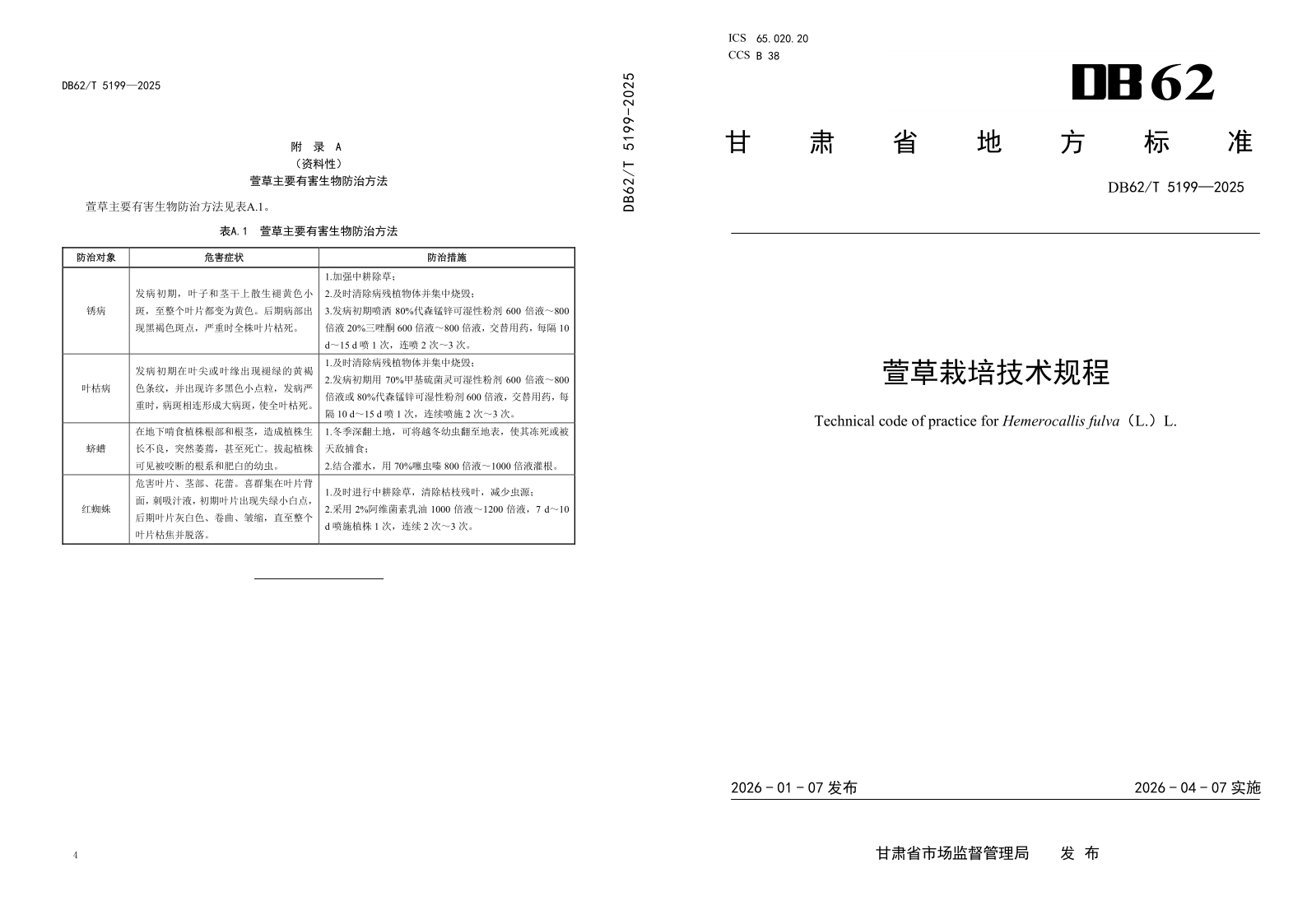 DB62/T 5199-2025 萱草栽培技术规程