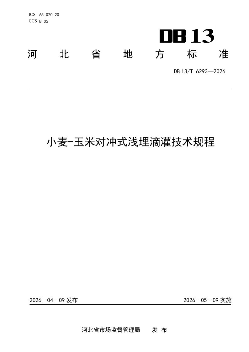 DB13/T 6293-2026 小麦-玉米对冲式浅埋滴灌技术规程