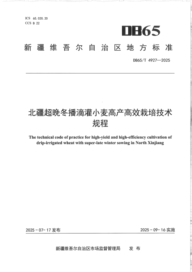 DB65/T 4927-2025 北疆超晚冬播滴灌小麦高产高效栽培技术规程