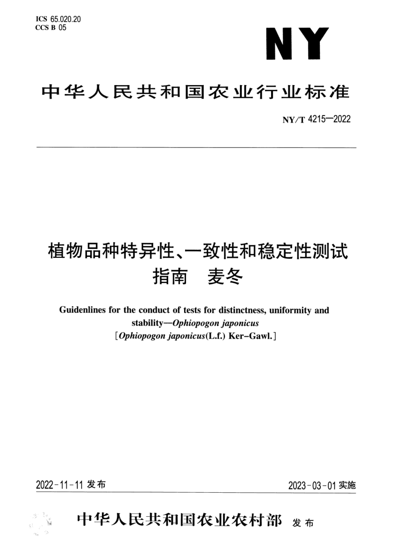 NY_T 4215-2022.png